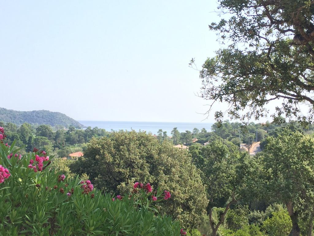 Thalassa Sainte-Lucie de Porto-Vecchio Exteriör bild